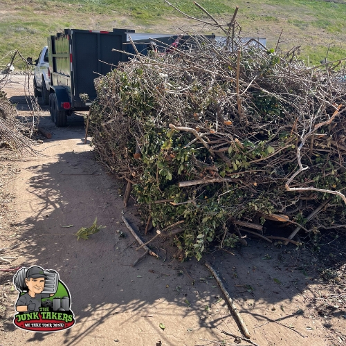 Tree branch Removal Paso Robles